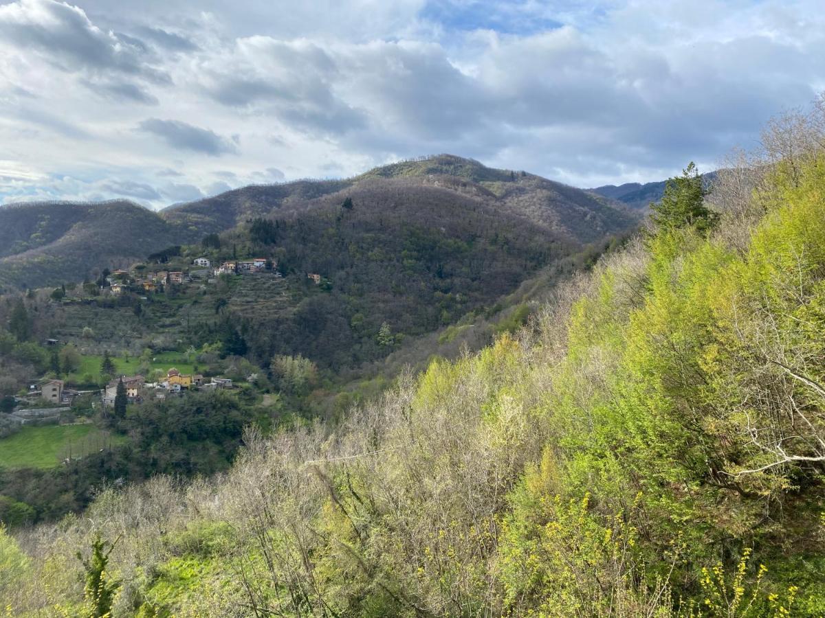 Casa Vacanze Giuliana Villore Exteriör bild
